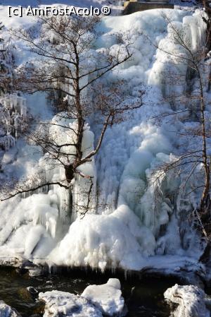 [P18] Cascadă înghețată-Râu Sadului (o conductă de apă spartă iarna a fâcut un cadou nouă și altor turiști)  » foto by AZE
 - 
<span class="allrVoted glyphicon glyphicon-heart hidden" id="av911225"></span>
<a class="m-l-10 hidden" id="sv911225" onclick="voting_Foto_DelVot(,911225,10358)" role="button">șterge vot <span class="glyphicon glyphicon-remove"></span></a>
<a id="v9911225" class=" c-red"  onclick="voting_Foto_SetVot(911225)" role="button"><span class="glyphicon glyphicon-heart-empty"></span> <b>LIKE</b> = Votează poza</a> <img class="hidden"  id="f911225W9" src="/imagini/loader.gif" border="0" /><span class="AjErrMes hidden" id="e911225ErM"></span>