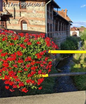 [P08] Podul peste pârâul Sighiel și Casa Națională sau Căminul/Pavilionul Cultural » foto by Carmen Ion
 - 
<span class="allrVoted glyphicon glyphicon-heart hidden" id="av1510371"></span>
<a class="m-l-10 hidden" id="sv1510371" onclick="voting_Foto_DelVot(,1510371,10358)" role="button">șterge vot <span class="glyphicon glyphicon-remove"></span></a>
<a id="v91510371" class=" c-red"  onclick="voting_Foto_SetVot(1510371)" role="button"><span class="glyphicon glyphicon-heart-empty"></span> <b>LIKE</b> = Votează poza</a> <img class="hidden"  id="f1510371W9" src="/imagini/loader.gif" border="0" /><span class="AjErrMes hidden" id="e1510371ErM"></span>