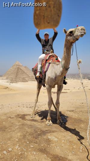 [P12] Platoul panoramic de unde se fac cele mai tari poze cu cele 3 piramide » foto by vlado2
 - 
<span class="allrVoted glyphicon glyphicon-heart hidden" id="av1524260"></span>
<a class="m-l-10 hidden" id="sv1524260" onclick="voting_Foto_DelVot(,1524260,10401)" role="button">șterge vot <span class="glyphicon glyphicon-remove"></span></a>
<a id="v91524260" class=" c-red"  onclick="voting_Foto_SetVot(1524260)" role="button"><span class="glyphicon glyphicon-heart-empty"></span> <b>LIKE</b> = Votează poza</a> <img class="hidden"  id="f1524260W9" src="/imagini/loader.gif" border="0" /><span class="AjErrMes hidden" id="e1524260ErM"></span>