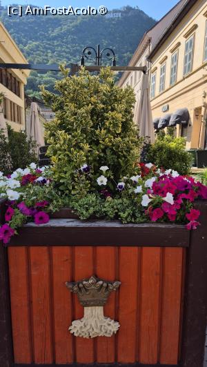 [P02] Brașov - prin centrul vechi » foto by ANILU
 - 
<span class="allrVoted glyphicon glyphicon-heart hidden" id="av1541371"></span>
<a class="m-l-10 hidden" id="sv1541371" onclick="voting_Foto_DelVot(,1541371,10418)" role="button">șterge vot <span class="glyphicon glyphicon-remove"></span></a>
<a id="v91541371" class=" c-red"  onclick="voting_Foto_SetVot(1541371)" role="button"><span class="glyphicon glyphicon-heart-empty"></span> <b>LIKE</b> = Votează poza</a> <img class="hidden"  id="f1541371W9" src="/imagini/loader.gif" border="0" /><span class="AjErrMes hidden" id="e1541371ErM"></span>