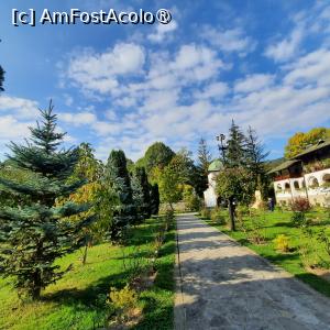 [P07] Vedere din curtea impecabilă » foto by laurand
 - 
<span class="allrVoted glyphicon glyphicon-heart hidden" id="av1481122"></span>
<a class="m-l-10 hidden" id="sv1481122" onclick="voting_Foto_DelVot(,1481122,10421)" role="button">șterge vot <span class="glyphicon glyphicon-remove"></span></a>
<a id="v91481122" class=" c-red"  onclick="voting_Foto_SetVot(1481122)" role="button"><span class="glyphicon glyphicon-heart-empty"></span> <b>LIKE</b> = Votează poza</a> <img class="hidden"  id="f1481122W9" src="/imagini/loader.gif" border="0" /><span class="AjErrMes hidden" id="e1481122ErM"></span>