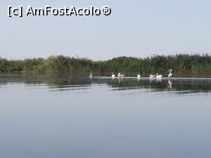 [P03] Excursie - Lacul Bogdaproste » foto by Gabriela12
 - 
<span class="allrVoted glyphicon glyphicon-heart hidden" id="av1001928"></span>
<a class="m-l-10 hidden" id="sv1001928" onclick="voting_Foto_DelVot(,1001928,10435)" role="button">șterge vot <span class="glyphicon glyphicon-remove"></span></a>
<a id="v91001928" class=" c-red"  onclick="voting_Foto_SetVot(1001928)" role="button"><span class="glyphicon glyphicon-heart-empty"></span> <b>LIKE</b> = Votează poza</a> <img class="hidden"  id="f1001928W9" src="/imagini/loader.gif" border="0" /><span class="AjErrMes hidden" id="e1001928ErM"></span>