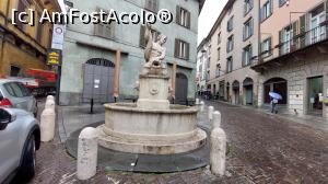 [P54] Fontana del Delfino » foto by Carmen Ion
 - 
<span class="allrVoted glyphicon glyphicon-heart hidden" id="av1374039"></span>
<a class="m-l-10 hidden" id="sv1374039" onclick="voting_Foto_DelVot(,1374039,10639)" role="button">șterge vot <span class="glyphicon glyphicon-remove"></span></a>
<a id="v91374039" class=" c-red"  onclick="voting_Foto_SetVot(1374039)" role="button"><span class="glyphicon glyphicon-heart-empty"></span> <b>LIKE</b> = Votează poza</a> <img class="hidden"  id="f1374039W9" src="/imagini/loader.gif" border="0" /><span class="AjErrMes hidden" id="e1374039ErM"></span>