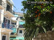 [P15] am cautat sa gasesc macar o portocala cazuta pe jos dar nu am gasit , sunt insa convins ca gustul acestora este diferit de cel pe care-l stim! » foto by Cristian_h
 - 
<span class="allrVoted glyphicon glyphicon-heart hidden" id="av101967"></span>
<a class="m-l-10 hidden" id="sv101967" onclick="voting_Foto_DelVot(,101967,10697)" role="button">șterge vot <span class="glyphicon glyphicon-remove"></span></a>
<a id="v9101967" class=" c-red"  onclick="voting_Foto_SetVot(101967)" role="button"><span class="glyphicon glyphicon-heart-empty"></span> <b>LIKE</b> = Votează poza</a> <img class="hidden"  id="f101967W9" src="/imagini/loader.gif" border="0" /><span class="AjErrMes hidden" id="e101967ErM"></span>