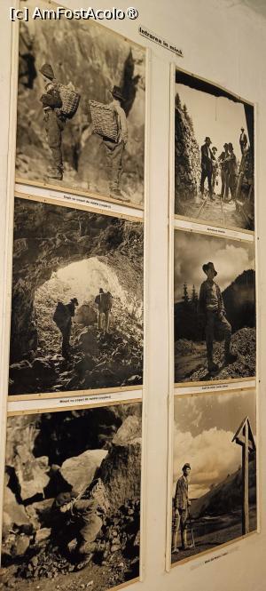 [P21] Fotografii tematice. » foto by tata123 🔱
 - 
<span class="allrVoted glyphicon glyphicon-heart hidden" id="av1501360"></span>
<a class="m-l-10 hidden" id="sv1501360" onclick="voting_Foto_DelVot(,1501360,10822)" role="button">șterge vot <span class="glyphicon glyphicon-remove"></span></a>
<a id="v91501360" class=" c-red"  onclick="voting_Foto_SetVot(1501360)" role="button"><span class="glyphicon glyphicon-heart-empty"></span> <b>LIKE</b> = Votează poza</a> <img class="hidden"  id="f1501360W9" src="/imagini/loader.gif" border="0" /><span class="AjErrMes hidden" id="e1501360ErM"></span>