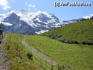 [P08] Jungfraujoch - Cu trenul pe panta din ce in ce mai abrupta.  » foto by iulianic
 - 
<span class="allrVoted glyphicon glyphicon-heart hidden" id="av370040"></span>
<a class="m-l-10 hidden" id="sv370040" onclick="voting_Foto_DelVot(,370040,10927)" role="button">șterge vot <span class="glyphicon glyphicon-remove"></span></a>
<a id="v9370040" class=" c-red"  onclick="voting_Foto_SetVot(370040)" role="button"><span class="glyphicon glyphicon-heart-empty"></span> <b>LIKE</b> = Votează poza</a> <img class="hidden"  id="f370040W9" src="/imagini/loader.gif" border="0" /><span class="AjErrMes hidden" id="e370040ErM"></span>