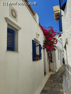 [P37] La pas prin Kardiani » foto by crismis
 - 
<span class="allrVoted glyphicon glyphicon-heart hidden" id="av1472544"></span>
<a class="m-l-10 hidden" id="sv1472544" onclick="voting_Foto_DelVot(,1472544,10936)" role="button">șterge vot <span class="glyphicon glyphicon-remove"></span></a>
<a id="v91472544" class=" c-red"  onclick="voting_Foto_SetVot(1472544)" role="button"><span class="glyphicon glyphicon-heart-empty"></span> <b>LIKE</b> = Votează poza</a> <img class="hidden"  id="f1472544W9" src="/imagini/loader.gif" border="0" /><span class="AjErrMes hidden" id="e1472544ErM"></span>