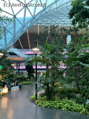 [P45] Hamad Airport-The Orchard » foto by AZE
 - 
<span class="allrVoted glyphicon glyphicon-heart hidden" id="av1456791"></span>
<a class="m-l-10 hidden" id="sv1456791" onclick="voting_Foto_DelVot(,1456791,11020)" role="button">șterge vot <span class="glyphicon glyphicon-remove"></span></a>
<a id="v91456791" class=" c-red"  onclick="voting_Foto_SetVot(1456791)" role="button"><span class="glyphicon glyphicon-heart-empty"></span> <b>LIKE</b> = Votează poza</a> <img class="hidden"  id="f1456791W9" src="/imagini/loader.gif" border="0" /><span class="AjErrMes hidden" id="e1456791ErM"></span>