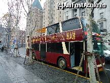 [P42] ptr 30 euro autobuzele lor va plimba 2 zile prin tot shanghaiul in sistem hop on hop off » foto by station5*
 - 
<span class="allrVoted glyphicon glyphicon-heart hidden" id="av295158"></span>
<a class="m-l-10 hidden" id="sv295158" onclick="voting_Foto_DelVot(,295158,11037)" role="button">șterge vot <span class="glyphicon glyphicon-remove"></span></a>
<a id="v9295158" class=" c-red"  onclick="voting_Foto_SetVot(295158)" role="button"><span class="glyphicon glyphicon-heart-empty"></span> <b>LIKE</b> = Votează poza</a> <img class="hidden"  id="f295158W9" src="/imagini/loader.gif" border="0" /><span class="AjErrMes hidden" id="e295158ErM"></span>