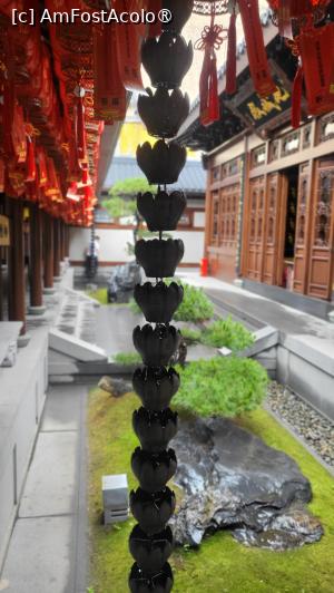 [P11]  -- <small>// FĂRĂ DESCRIERE</small> » foto by geani anto
 - 
<span class="allrVoted glyphicon glyphicon-heart hidden" id="av1507563"></span>
<a class="m-l-10 hidden" id="sv1507563" onclick="voting_Foto_DelVot(,1507563,11037)" role="button">șterge vot <span class="glyphicon glyphicon-remove"></span></a>
<a id="v91507563" class=" c-red"  onclick="voting_Foto_SetVot(1507563)" role="button"><span class="glyphicon glyphicon-heart-empty"></span> <b>LIKE</b> = Votează poza</a> <img class="hidden"  id="f1507563W9" src="/imagini/loader.gif" border="0" /><span class="AjErrMes hidden" id="e1507563ErM"></span>