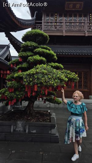 [P20]  -- <small>// FĂRĂ DESCRIERE</small> » foto by geani anto
 - 
<span class="allrVoted glyphicon glyphicon-heart hidden" id="av1507572"></span>
<a class="m-l-10 hidden" id="sv1507572" onclick="voting_Foto_DelVot(,1507572,11037)" role="button">șterge vot <span class="glyphicon glyphicon-remove"></span></a>
<a id="v91507572" class=" c-red"  onclick="voting_Foto_SetVot(1507572)" role="button"><span class="glyphicon glyphicon-heart-empty"></span> <b>LIKE</b> = Votează poza</a> <img class="hidden"  id="f1507572W9" src="/imagini/loader.gif" border="0" /><span class="AjErrMes hidden" id="e1507572ErM"></span>