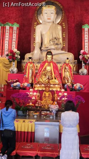 [P26] Sala de Vest, Shakyamuni, prezinta cel mai pretuit artefact religios al templului,  cea mai mare statuie a lui Buddha sezand din China, din jad, avand o inaltime de 3,8 metri, cantarind 11 tone. Aceasta a fost adusa in 1989, ca dar generos din partea comunitatii budiste din Singapore. Artizanii priceputi ai Chinei au prelucrat statuia folosind tehnici traditionale de sculptura budista in stil Han, astfel ca acum, statuia emana gratia artei chineze clasice. Datorita dimensiunilor sale, atunci cand a fost mutata in sala, un perete a fost daramat. » foto by geani anto
 - 
<span class="allrVoted glyphicon glyphicon-heart hidden" id="av1507578"></span>
<a class="m-l-10 hidden" id="sv1507578" onclick="voting_Foto_DelVot(,1507578,11037)" role="button">șterge vot <span class="glyphicon glyphicon-remove"></span></a>
<a id="v91507578" class=" c-red"  onclick="voting_Foto_SetVot(1507578)" role="button"><span class="glyphicon glyphicon-heart-empty"></span> <b>LIKE</b> = Votează poza</a> <img class="hidden"  id="f1507578W9" src="/imagini/loader.gif" border="0" /><span class="AjErrMes hidden" id="e1507578ErM"></span>