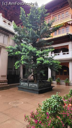 [P35]  -- <small>// FĂRĂ DESCRIERE</small> » foto by geani anto
 - 
<span class="allrVoted glyphicon glyphicon-heart hidden" id="av1507587"></span>
<a class="m-l-10 hidden" id="sv1507587" onclick="voting_Foto_DelVot(,1507587,11037)" role="button">șterge vot <span class="glyphicon glyphicon-remove"></span></a>
<a id="v91507587" class=" c-red"  onclick="voting_Foto_SetVot(1507587)" role="button"><span class="glyphicon glyphicon-heart-empty"></span> <b>LIKE</b> = Votează poza</a> <img class="hidden"  id="f1507587W9" src="/imagini/loader.gif" border="0" /><span class="AjErrMes hidden" id="e1507587ErM"></span>