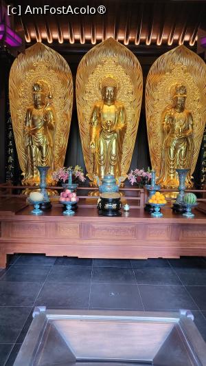 [P05]  -- <small>// FĂRĂ DESCRIERE</small> » foto by geani anto
 - 
<span class="allrVoted glyphicon glyphicon-heart hidden" id="av1507557"></span>
<a class="m-l-10 hidden" id="sv1507557" onclick="voting_Foto_DelVot(,1507557,11037)" role="button">șterge vot <span class="glyphicon glyphicon-remove"></span></a>
<a id="v91507557" class=" c-red"  onclick="voting_Foto_SetVot(1507557)" role="button"><span class="glyphicon glyphicon-heart-empty"></span> <b>LIKE</b> = Votează poza</a> <img class="hidden"  id="f1507557W9" src="/imagini/loader.gif" border="0" /><span class="AjErrMes hidden" id="e1507557ErM"></span>