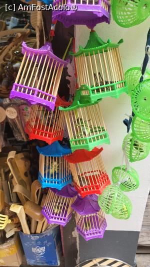 [P48] Ne-am continuat drumul pe strada Caohe, marginita de cafenele, baruri si restaurante. In timpul Dinastiei Tang, lacustele au fost apreciate pentru sunetele pe care acestea le scot, fiind capturate si inchise in custi pentru placerea de a le asculta acasa. Astazi, continua traditia, lacuste mari verzi, reale, inchise in colivii, putand fi cumparate ca si suveniruri.  » foto by geani anto
 - 
<span class="allrVoted glyphicon glyphicon-heart hidden" id="av1508764"></span>
<a class="m-l-10 hidden" id="sv1508764" onclick="voting_Foto_DelVot(,1508764,11037)" role="button">șterge vot <span class="glyphicon glyphicon-remove"></span></a>
<a id="v91508764" class=" c-red"  onclick="voting_Foto_SetVot(1508764)" role="button"><span class="glyphicon glyphicon-heart-empty"></span> <b>LIKE</b> = Votează poza</a> <img class="hidden"  id="f1508764W9" src="/imagini/loader.gif" border="0" /><span class="AjErrMes hidden" id="e1508764ErM"></span>