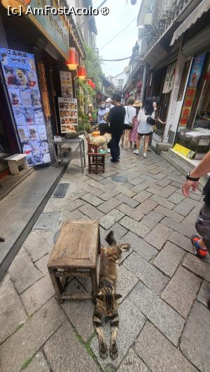 [P57]  -- <small>// FĂRĂ DESCRIERE</small> » foto by geani anto
 - 
<span class="allrVoted glyphicon glyphicon-heart hidden" id="av1508772"></span>
<a class="m-l-10 hidden" id="sv1508772" onclick="voting_Foto_DelVot(,1508772,11037)" role="button">șterge vot <span class="glyphicon glyphicon-remove"></span></a>
<a id="v91508772" class=" c-red"  onclick="voting_Foto_SetVot(1508772)" role="button"><span class="glyphicon glyphicon-heart-empty"></span> <b>LIKE</b> = Votează poza</a> <img class="hidden"  id="f1508772W9" src="/imagini/loader.gif" border="0" /><span class="AjErrMes hidden" id="e1508772ErM"></span>