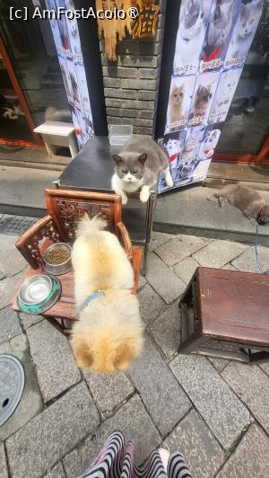 [P59]  -- <small>// FĂRĂ DESCRIERE</small> » foto by geani anto
 - 
<span class="allrVoted glyphicon glyphicon-heart hidden" id="av1508774"></span>
<a class="m-l-10 hidden" id="sv1508774" onclick="voting_Foto_DelVot(,1508774,11037)" role="button">șterge vot <span class="glyphicon glyphicon-remove"></span></a>
<a id="v91508774" class=" c-red"  onclick="voting_Foto_SetVot(1508774)" role="button"><span class="glyphicon glyphicon-heart-empty"></span> <b>LIKE</b> = Votează poza</a> <img class="hidden"  id="f1508774W9" src="/imagini/loader.gif" border="0" /><span class="AjErrMes hidden" id="e1508774ErM"></span>