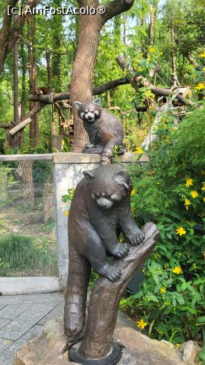 [P23]  -- <small>// FĂRĂ DESCRIERE</small> » foto by geani anto
 - 
<span class="allrVoted glyphicon glyphicon-heart hidden" id="av1509536"></span>
<a class="m-l-10 hidden" id="sv1509536" onclick="voting_Foto_DelVot(,1509536,11037)" role="button">șterge vot <span class="glyphicon glyphicon-remove"></span></a>
<a id="v91509536" class=" c-red"  onclick="voting_Foto_SetVot(1509536)" role="button"><span class="glyphicon glyphicon-heart-empty"></span> <b>LIKE</b> = Votează poza</a> <img class="hidden"  id="f1509536W9" src="/imagini/loader.gif" border="0" /><span class="AjErrMes hidden" id="e1509536ErM"></span>