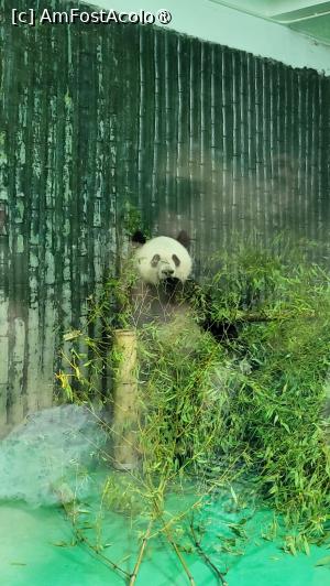 [P30]  -- <small>// FĂRĂ DESCRIERE</small> » foto by geani anto
 - 
<span class="allrVoted glyphicon glyphicon-heart hidden" id="av1509543"></span>
<a class="m-l-10 hidden" id="sv1509543" onclick="voting_Foto_DelVot(,1509543,11037)" role="button">șterge vot <span class="glyphicon glyphicon-remove"></span></a>
<a id="v91509543" class=" c-red"  onclick="voting_Foto_SetVot(1509543)" role="button"><span class="glyphicon glyphicon-heart-empty"></span> <b>LIKE</b> = Votează poza</a> <img class="hidden"  id="f1509543W9" src="/imagini/loader.gif" border="0" /><span class="AjErrMes hidden" id="e1509543ErM"></span>