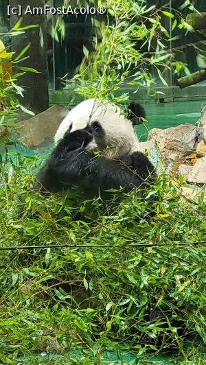 [P33]  -- <small>// FĂRĂ DESCRIERE</small> » foto by geani anto
 - 
<span class="allrVoted glyphicon glyphicon-heart hidden" id="av1509546"></span>
<a class="m-l-10 hidden" id="sv1509546" onclick="voting_Foto_DelVot(,1509546,11037)" role="button">șterge vot <span class="glyphicon glyphicon-remove"></span></a>
<a id="v91509546" class=" c-red"  onclick="voting_Foto_SetVot(1509546)" role="button"><span class="glyphicon glyphicon-heart-empty"></span> <b>LIKE</b> = Votează poza</a> <img class="hidden"  id="f1509546W9" src="/imagini/loader.gif" border="0" /><span class="AjErrMes hidden" id="e1509546ErM"></span>