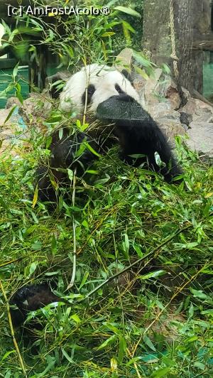 [P34]  -- <small>// FĂRĂ DESCRIERE</small> » foto by geani anto
 - 
<span class="allrVoted glyphicon glyphicon-heart hidden" id="av1509547"></span>
<a class="m-l-10 hidden" id="sv1509547" onclick="voting_Foto_DelVot(,1509547,11037)" role="button">șterge vot <span class="glyphicon glyphicon-remove"></span></a>
<a id="v91509547" class=" c-red"  onclick="voting_Foto_SetVot(1509547)" role="button"><span class="glyphicon glyphicon-heart-empty"></span> <b>LIKE</b> = Votează poza</a> <img class="hidden"  id="f1509547W9" src="/imagini/loader.gif" border="0" /><span class="AjErrMes hidden" id="e1509547ErM"></span>