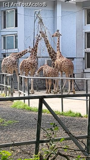 [P41]  -- <small>// FĂRĂ DESCRIERE</small> » foto by geani anto
 - 
<span class="allrVoted glyphicon glyphicon-heart hidden" id="av1509554"></span>
<a class="m-l-10 hidden" id="sv1509554" onclick="voting_Foto_DelVot(,1509554,11037)" role="button">șterge vot <span class="glyphicon glyphicon-remove"></span></a>
<a id="v91509554" class=" c-red"  onclick="voting_Foto_SetVot(1509554)" role="button"><span class="glyphicon glyphicon-heart-empty"></span> <b>LIKE</b> = Votează poza</a> <img class="hidden"  id="f1509554W9" src="/imagini/loader.gif" border="0" /><span class="AjErrMes hidden" id="e1509554ErM"></span>