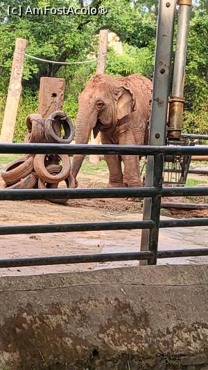 [P43]  -- <small>// FĂRĂ DESCRIERE</small> » foto by geani anto
 - 
<span class="allrVoted glyphicon glyphicon-heart hidden" id="av1509556"></span>
<a class="m-l-10 hidden" id="sv1509556" onclick="voting_Foto_DelVot(,1509556,11037)" role="button">șterge vot <span class="glyphicon glyphicon-remove"></span></a>
<a id="v91509556" class=" c-red"  onclick="voting_Foto_SetVot(1509556)" role="button"><span class="glyphicon glyphicon-heart-empty"></span> <b>LIKE</b> = Votează poza</a> <img class="hidden"  id="f1509556W9" src="/imagini/loader.gif" border="0" /><span class="AjErrMes hidden" id="e1509556ErM"></span>