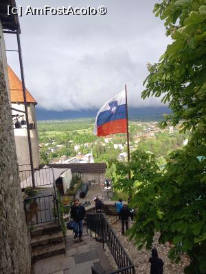 [P24] Castelul Bled » foto by zlatna
 - 
<span class="allrVoted glyphicon glyphicon-heart hidden" id="av1508640"></span>
<a class="m-l-10 hidden" id="sv1508640" onclick="voting_Foto_DelVot(,1508640,11040)" role="button">șterge vot <span class="glyphicon glyphicon-remove"></span></a>
<a id="v91508640" class=" c-red"  onclick="voting_Foto_SetVot(1508640)" role="button"><span class="glyphicon glyphicon-heart-empty"></span> <b>LIKE</b> = Votează poza</a> <img class="hidden"  id="f1508640W9" src="/imagini/loader.gif" border="0" /><span class="AjErrMes hidden" id="e1508640ErM"></span>