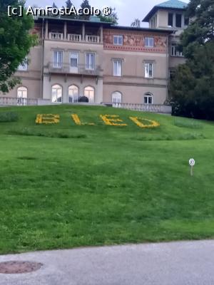 [P33] Am fost la Bled » foto by zlatna
 - 
<span class="allrVoted glyphicon glyphicon-heart hidden" id="av1508649"></span>
<a class="m-l-10 hidden" id="sv1508649" onclick="voting_Foto_DelVot(,1508649,11040)" role="button">șterge vot <span class="glyphicon glyphicon-remove"></span></a>
<a id="v91508649" class=" c-red"  onclick="voting_Foto_SetVot(1508649)" role="button"><span class="glyphicon glyphicon-heart-empty"></span> <b>LIKE</b> = Votează poza</a> <img class="hidden"  id="f1508649W9" src="/imagini/loader.gif" border="0" /><span class="AjErrMes hidden" id="e1508649ErM"></span>