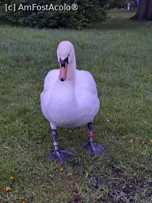 [P35]  -- <small>// FĂRĂ DESCRIERE</small> » foto by zlatna
 - 
<span class="allrVoted glyphicon glyphicon-heart hidden" id="av1508651"></span>
<a class="m-l-10 hidden" id="sv1508651" onclick="voting_Foto_DelVot(,1508651,11040)" role="button">șterge vot <span class="glyphicon glyphicon-remove"></span></a>
<a id="v91508651" class=" c-red"  onclick="voting_Foto_SetVot(1508651)" role="button"><span class="glyphicon glyphicon-heart-empty"></span> <b>LIKE</b> = Votează poza</a> <img class="hidden"  id="f1508651W9" src="/imagini/loader.gif" border="0" /><span class="AjErrMes hidden" id="e1508651ErM"></span>