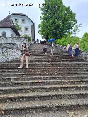 [P40] pe insula Bled » foto by zlatna
 - 
<span class="allrVoted glyphicon glyphicon-heart hidden" id="av1508656"></span>
<a class="m-l-10 hidden" id="sv1508656" onclick="voting_Foto_DelVot(,1508656,11040)" role="button">șterge vot <span class="glyphicon glyphicon-remove"></span></a>
<a id="v91508656" class=" c-red"  onclick="voting_Foto_SetVot(1508656)" role="button"><span class="glyphicon glyphicon-heart-empty"></span> <b>LIKE</b> = Votează poza</a> <img class="hidden"  id="f1508656W9" src="/imagini/loader.gif" border="0" /><span class="AjErrMes hidden" id="e1508656ErM"></span>