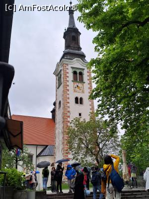 [P41] pe insula Bled » foto by zlatna
 - 
<span class="allrVoted glyphicon glyphicon-heart hidden" id="av1508657"></span>
<a class="m-l-10 hidden" id="sv1508657" onclick="voting_Foto_DelVot(,1508657,11040)" role="button">șterge vot <span class="glyphicon glyphicon-remove"></span></a>
<a id="v91508657" class=" c-red"  onclick="voting_Foto_SetVot(1508657)" role="button"><span class="glyphicon glyphicon-heart-empty"></span> <b>LIKE</b> = Votează poza</a> <img class="hidden"  id="f1508657W9" src="/imagini/loader.gif" border="0" /><span class="AjErrMes hidden" id="e1508657ErM"></span>