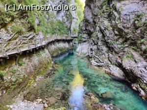[P17] La pas prin Canionul Vintgar; aici zona cea mai îngustă » foto by crismis
 - 
<span class="allrVoted glyphicon glyphicon-heart hidden" id="av1510696"></span>
<a class="m-l-10 hidden" id="sv1510696" onclick="voting_Foto_DelVot(,1510696,11040)" role="button">șterge vot <span class="glyphicon glyphicon-remove"></span></a>
<a id="v91510696" class=" c-red"  onclick="voting_Foto_SetVot(1510696)" role="button"><span class="glyphicon glyphicon-heart-empty"></span> <b>LIKE</b> = Votează poza</a> <img class="hidden"  id="f1510696W9" src="/imagini/loader.gif" border="0" /><span class="AjErrMes hidden" id="e1510696ErM"></span>