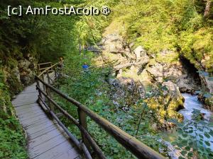 [P05] La pas prin Canionul Vintgar » foto by crismis
 - 
<span class="allrVoted glyphicon glyphicon-heart hidden" id="av1510684"></span>
<a class="m-l-10 hidden" id="sv1510684" onclick="voting_Foto_DelVot(,1510684,11040)" role="button">șterge vot <span class="glyphicon glyphicon-remove"></span></a>
<a id="v91510684" class=" c-red"  onclick="voting_Foto_SetVot(1510684)" role="button"><span class="glyphicon glyphicon-heart-empty"></span> <b>LIKE</b> = Votează poza</a> <img class="hidden"  id="f1510684W9" src="/imagini/loader.gif" border="0" /><span class="AjErrMes hidden" id="e1510684ErM"></span>