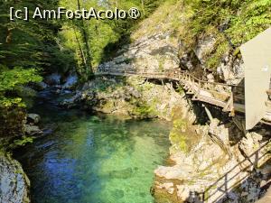 [P07] La pas prin Canionul Vintgar » foto by crismis
 - 
<span class="allrVoted glyphicon glyphicon-heart hidden" id="av1510686"></span>
<a class="m-l-10 hidden" id="sv1510686" onclick="voting_Foto_DelVot(,1510686,11040)" role="button">șterge vot <span class="glyphicon glyphicon-remove"></span></a>
<a id="v91510686" class=" c-red"  onclick="voting_Foto_SetVot(1510686)" role="button"><span class="glyphicon glyphicon-heart-empty"></span> <b>LIKE</b> = Votează poza</a> <img class="hidden"  id="f1510686W9" src="/imagini/loader.gif" border="0" /><span class="AjErrMes hidden" id="e1510686ErM"></span>