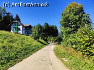 [P19] La plimbare în jurul lacului Bled » foto by crismis
 - 
<span class="allrVoted glyphicon glyphicon-heart hidden" id="av1513814"></span>
<a class="m-l-10 hidden" id="sv1513814" onclick="voting_Foto_DelVot(,1513814,11040)" role="button">șterge vot <span class="glyphicon glyphicon-remove"></span></a>
<a id="v91513814" class=" c-red"  onclick="voting_Foto_SetVot(1513814)" role="button"><span class="glyphicon glyphicon-heart-empty"></span> <b>LIKE</b> = Votează poza</a> <img class="hidden"  id="f1513814W9" src="/imagini/loader.gif" border="0" /><span class="AjErrMes hidden" id="e1513814ErM"></span>