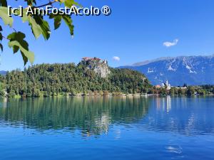 [P28] La plimbare în jurul lacului Bled » foto by crismis
 - 
<span class="allrVoted glyphicon glyphicon-heart hidden" id="av1513819"></span>
<a class="m-l-10 hidden" id="sv1513819" onclick="voting_Foto_DelVot(,1513819,11040)" role="button">șterge vot <span class="glyphicon glyphicon-remove"></span></a>
<a id="v91513819" class=" c-red"  onclick="voting_Foto_SetVot(1513819)" role="button"><span class="glyphicon glyphicon-heart-empty"></span> <b>LIKE</b> = Votează poza</a> <img class="hidden"  id="f1513819W9" src="/imagini/loader.gif" border="0" /><span class="AjErrMes hidden" id="e1513819ErM"></span>