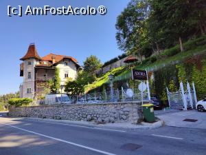 [P31] La plimbare în jurul lacului Bled » foto by crismis
 - 
<span class="allrVoted glyphicon glyphicon-heart hidden" id="av1513822"></span>
<a class="m-l-10 hidden" id="sv1513822" onclick="voting_Foto_DelVot(,1513822,11040)" role="button">șterge vot <span class="glyphicon glyphicon-remove"></span></a>
<a id="v91513822" class=" c-red"  onclick="voting_Foto_SetVot(1513822)" role="button"><span class="glyphicon glyphicon-heart-empty"></span> <b>LIKE</b> = Votează poza</a> <img class="hidden"  id="f1513822W9" src="/imagini/loader.gif" border="0" /><span class="AjErrMes hidden" id="e1513822ErM"></span>