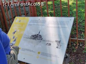 [P36] La plimbare în jurul lacului Bled » foto by crismis
 - 
<span class="allrVoted glyphicon glyphicon-heart hidden" id="av1513827"></span>
<a class="m-l-10 hidden" id="sv1513827" onclick="voting_Foto_DelVot(,1513827,11040)" role="button">șterge vot <span class="glyphicon glyphicon-remove"></span></a>
<a id="v91513827" class=" c-red"  onclick="voting_Foto_SetVot(1513827)" role="button"><span class="glyphicon glyphicon-heart-empty"></span> <b>LIKE</b> = Votează poza</a> <img class="hidden"  id="f1513827W9" src="/imagini/loader.gif" border="0" /><span class="AjErrMes hidden" id="e1513827ErM"></span>