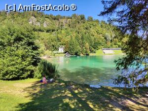 [P63] La plimbare în jurul lacului Bled » foto by crismis
 - 
<span class="allrVoted glyphicon glyphicon-heart hidden" id="av1513849"></span>
<a class="m-l-10 hidden" id="sv1513849" onclick="voting_Foto_DelVot(,1513849,11040)" role="button">șterge vot <span class="glyphicon glyphicon-remove"></span></a>
<a id="v91513849" class=" c-red"  onclick="voting_Foto_SetVot(1513849)" role="button"><span class="glyphicon glyphicon-heart-empty"></span> <b>LIKE</b> = Votează poza</a> <img class="hidden"  id="f1513849W9" src="/imagini/loader.gif" border="0" /><span class="AjErrMes hidden" id="e1513849ErM"></span>