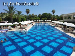 [P08] piscina 1 » foto by gioko
 - 
<span class="allrVoted glyphicon glyphicon-heart hidden" id="av1488544"></span>
<a class="m-l-10 hidden" id="sv1488544" onclick="voting_Foto_DelVot(,1488544,11127)" role="button">șterge vot <span class="glyphicon glyphicon-remove"></span></a>
<a id="v91488544" class=" c-red"  onclick="voting_Foto_SetVot(1488544)" role="button"><span class="glyphicon glyphicon-heart-empty"></span> <b>LIKE</b> = Votează poza</a> <img class="hidden"  id="f1488544W9" src="/imagini/loader.gif" border="0" /><span class="AjErrMes hidden" id="e1488544ErM"></span>