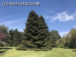 P50 [MAY-2019] Ecopark Varna - alt brad frumos