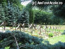 P13 [AUG-2011] Cimitirul maicutelor vegheat de cetina de brad