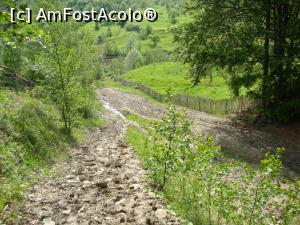 [P96] La pas către ”Focul Viu” de la Terca - O porțiune dificilă; la urcare am crezut că nu o să putem trece!  » foto by Floryn81
 - 
<span class="allrVoted glyphicon glyphicon-heart hidden" id="av740303"></span>
<a class="m-l-10 hidden" id="sv740303" onclick="voting_Foto_DelVot(,740303,11241)" role="button">șterge vot <span class="glyphicon glyphicon-remove"></span></a>
<a id="v9740303" class=" c-red"  onclick="voting_Foto_SetVot(740303)" role="button"><span class="glyphicon glyphicon-heart-empty"></span> <b>LIKE</b> = Votează poza</a> <img class="hidden"  id="f740303W9" src="/imagini/loader.gif" border="0" /><span class="AjErrMes hidden" id="e740303ErM"></span>