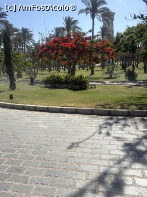 [P32] Complexul Montaza -prin grădini » foto by nicole33
 - 
<span class="allrVoted glyphicon glyphicon-heart hidden" id="av1536070"></span>
<a class="m-l-10 hidden" id="sv1536070" onclick="voting_Foto_DelVot(,1536070,11270)" role="button">șterge vot <span class="glyphicon glyphicon-remove"></span></a>
<a id="v91536070" class=" c-red"  onclick="voting_Foto_SetVot(1536070)" role="button"><span class="glyphicon glyphicon-heart-empty"></span> <b>LIKE</b> = Votează poza</a> <img class="hidden"  id="f1536070W9" src="/imagini/loader.gif" border="0" /><span class="AjErrMes hidden" id="e1536070ErM"></span>