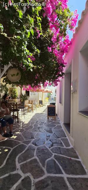 [P12] La pas prin Messaria, capitala insulei Kythnos » foto by irinad
 - 
<span class="allrVoted glyphicon glyphicon-heart hidden" id="av1547549"></span>
<a class="m-l-10 hidden" id="sv1547549" onclick="voting_Foto_DelVot(,1547549,11293)" role="button">șterge vot <span class="glyphicon glyphicon-remove"></span></a>
<a id="v91547549" class=" c-red"  onclick="voting_Foto_SetVot(1547549)" role="button"><span class="glyphicon glyphicon-heart-empty"></span> <b>LIKE</b> = Votează poza</a> <img class="hidden"  id="f1547549W9" src="/imagini/loader.gif" border="0" /><span class="AjErrMes hidden" id="e1547549ErM"></span>
