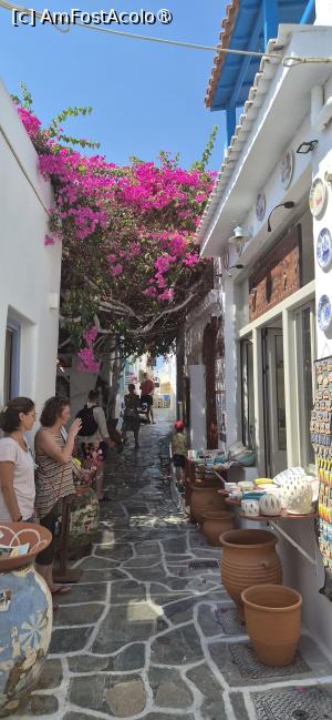 [P08] La pas prin Messaria, capitala insulei Kythnos » foto by irinad
 - 
<span class="allrVoted glyphicon glyphicon-heart hidden" id="av1547545"></span>
<a class="m-l-10 hidden" id="sv1547545" onclick="voting_Foto_DelVot(,1547545,11293)" role="button">șterge vot <span class="glyphicon glyphicon-remove"></span></a>
<a id="v91547545" class=" c-red"  onclick="voting_Foto_SetVot(1547545)" role="button"><span class="glyphicon glyphicon-heart-empty"></span> <b>LIKE</b> = Votează poza</a> <img class="hidden"  id="f1547545W9" src="/imagini/loader.gif" border="0" /><span class="AjErrMes hidden" id="e1547545ErM"></span>