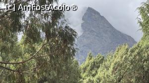 [P40] Langtang Trek » foto by Mika
 - 
<span class="allrVoted glyphicon glyphicon-heart hidden" id="av1504152"></span>
<a class="m-l-10 hidden" id="sv1504152" onclick="voting_Foto_DelVot(,1504152,11367)" role="button">șterge vot <span class="glyphicon glyphicon-remove"></span></a>
<a id="v91504152" class=" c-red"  onclick="voting_Foto_SetVot(1504152)" role="button"><span class="glyphicon glyphicon-heart-empty"></span> <b>LIKE</b> = Votează poza</a> <img class="hidden"  id="f1504152W9" src="/imagini/loader.gif" border="0" /><span class="AjErrMes hidden" id="e1504152ErM"></span>