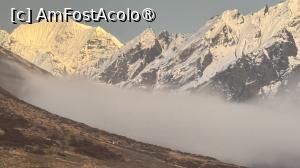 [P72]  -- <small>// FĂRĂ DESCRIERE</small> » foto by Mika
 - 
<span class="allrVoted glyphicon glyphicon-heart hidden" id="av1504184"></span>
<a class="m-l-10 hidden" id="sv1504184" onclick="voting_Foto_DelVot(,1504184,11367)" role="button">șterge vot <span class="glyphicon glyphicon-remove"></span></a>
<a id="v91504184" class=" c-red"  onclick="voting_Foto_SetVot(1504184)" role="button"><span class="glyphicon glyphicon-heart-empty"></span> <b>LIKE</b> = Votează poza</a> <img class="hidden"  id="f1504184W9" src="/imagini/loader.gif" border="0" /><span class="AjErrMes hidden" id="e1504184ErM"></span>