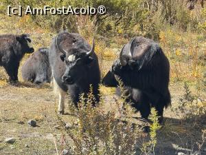 [P44] Iaci » foto by Mika
 - 
<span class="allrVoted glyphicon glyphicon-heart hidden" id="av1506028"></span>
<a class="m-l-10 hidden" id="sv1506028" onclick="voting_Foto_DelVot(,1506028,11367)" role="button">șterge vot <span class="glyphicon glyphicon-remove"></span></a>
<a id="v91506028" class=" c-red"  onclick="voting_Foto_SetVot(1506028)" role="button"><span class="glyphicon glyphicon-heart-empty"></span> <b>LIKE</b> = Votează poza</a> <img class="hidden"  id="f1506028W9" src="/imagini/loader.gif" border="0" /><span class="AjErrMes hidden" id="e1506028ErM"></span>